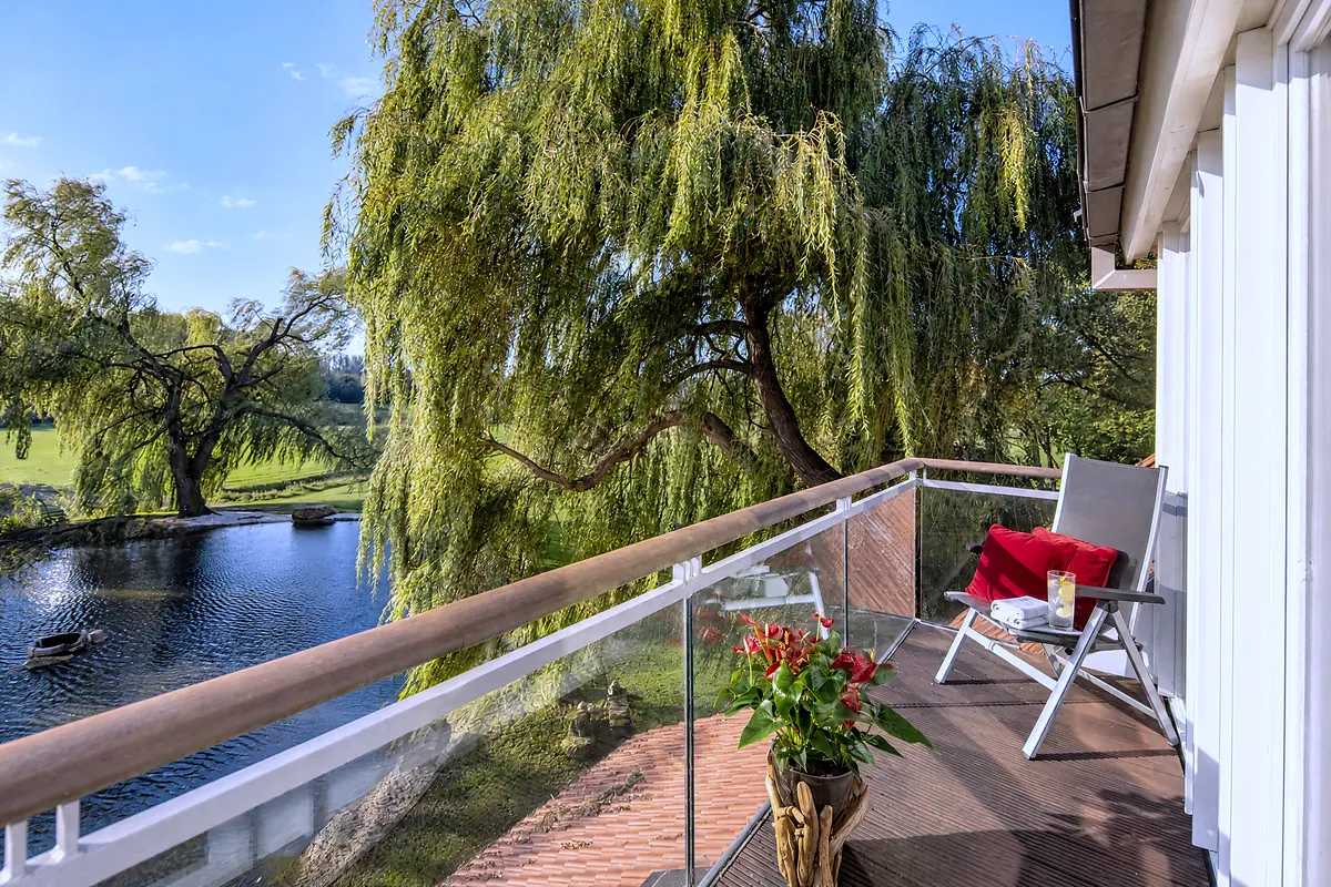 Die Terrasse, 14 Schwarzer Schwan